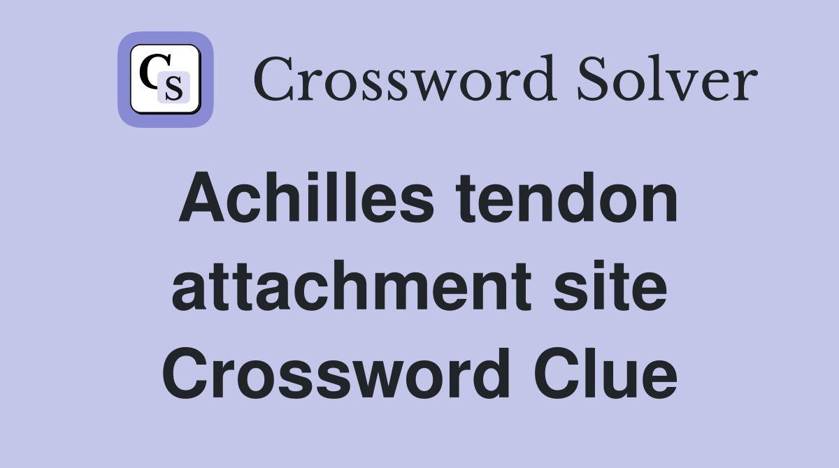 Achilles tendon attachment site Crossword Clue