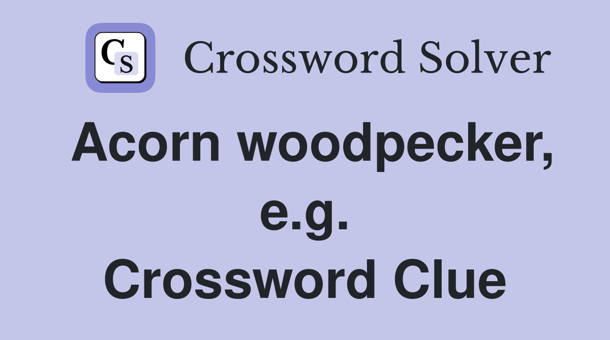 Acorn woodpecker, e.g. Crossword Clue