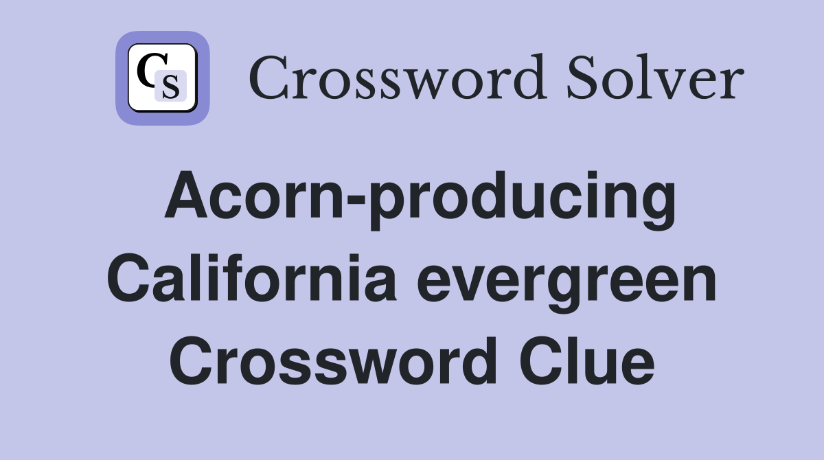 Acorn-producing California evergreen Crossword Clue