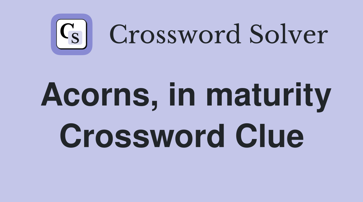 Acorns, in maturity Crossword Clue