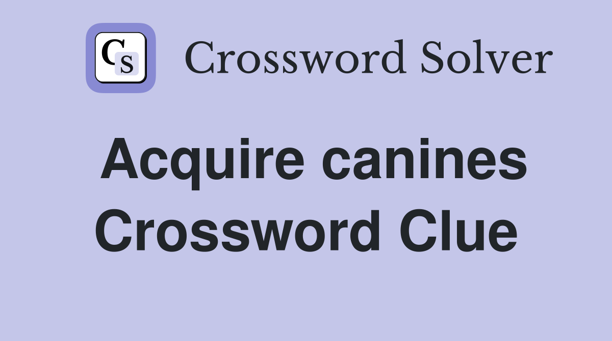 Acquire canines Crossword Clue