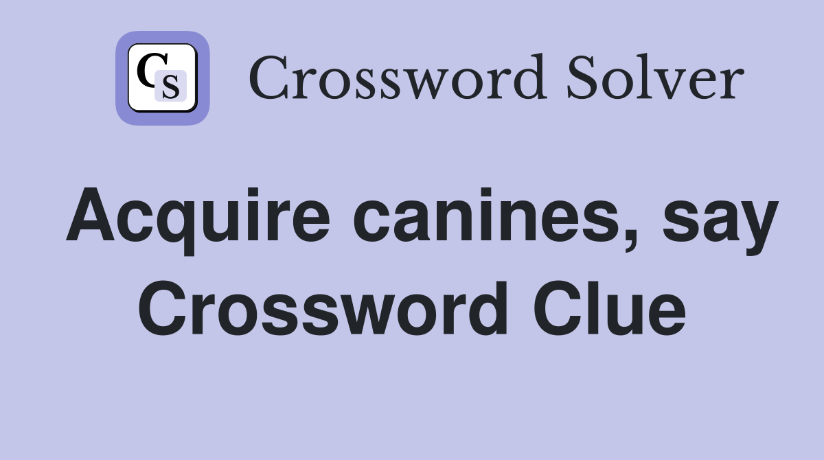 Acquire canines, say Crossword Clue