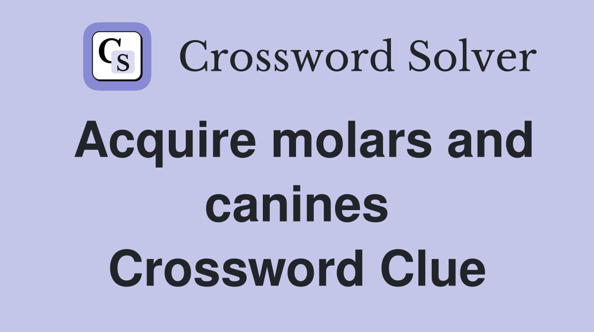 Acquire molars and canines Crossword Clue