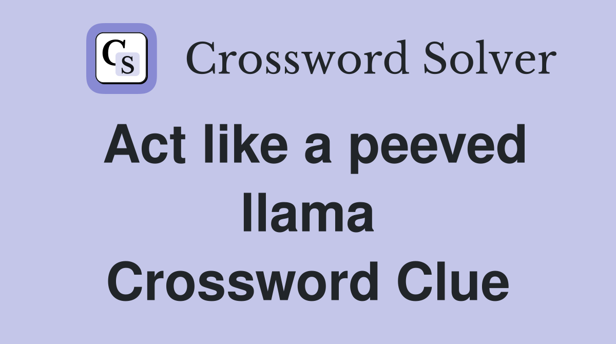 Act like a peeved llama Crossword Clue