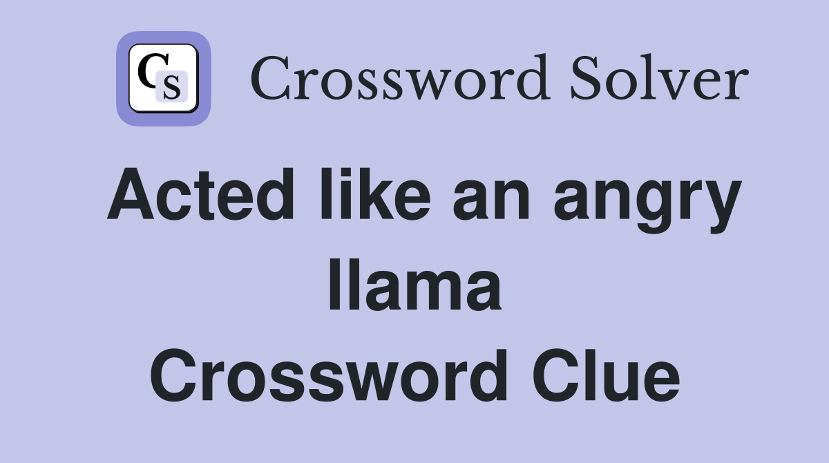 Acted like an angry llama Crossword Clue