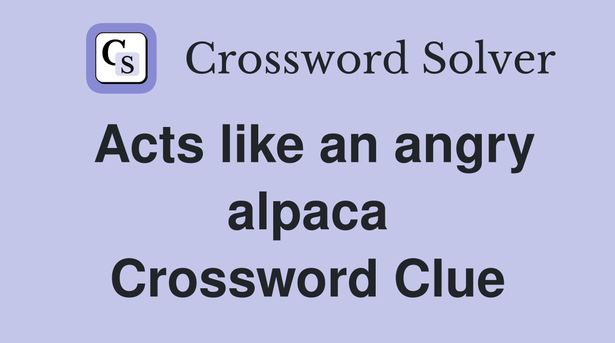 Acts like an angry alpaca Crossword Clue