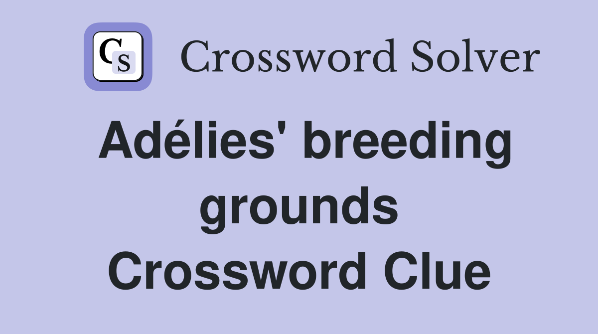 Adélies' breeding grounds Crossword Clue