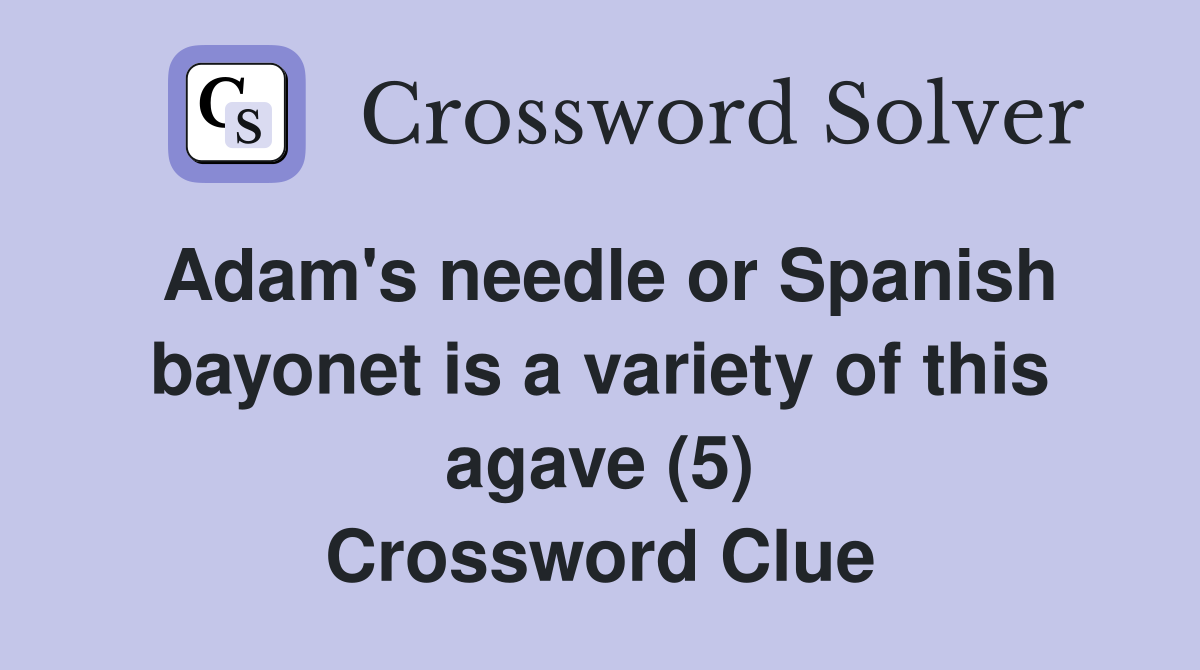 Adam #39 s needle or Spanish bayonet is a variety of this agave (5
