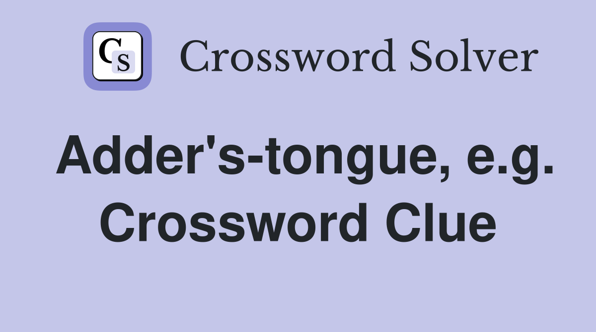Adder's-tongue, e.g. Crossword Clue