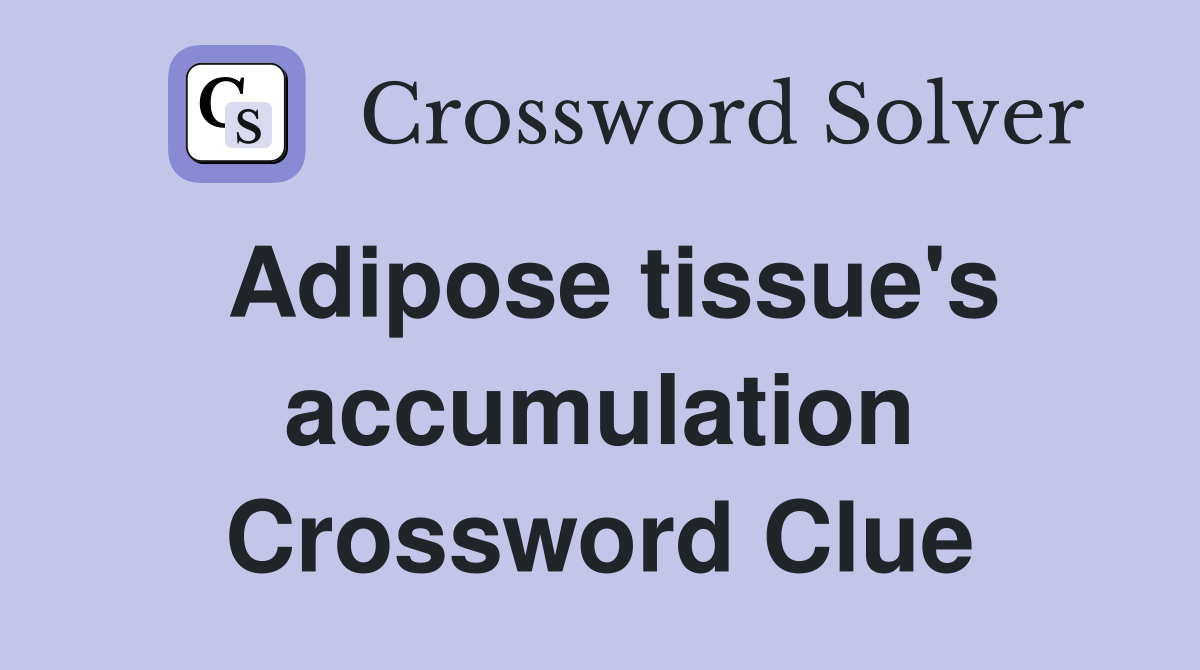Adipose tissue's accumulation Crossword Clue