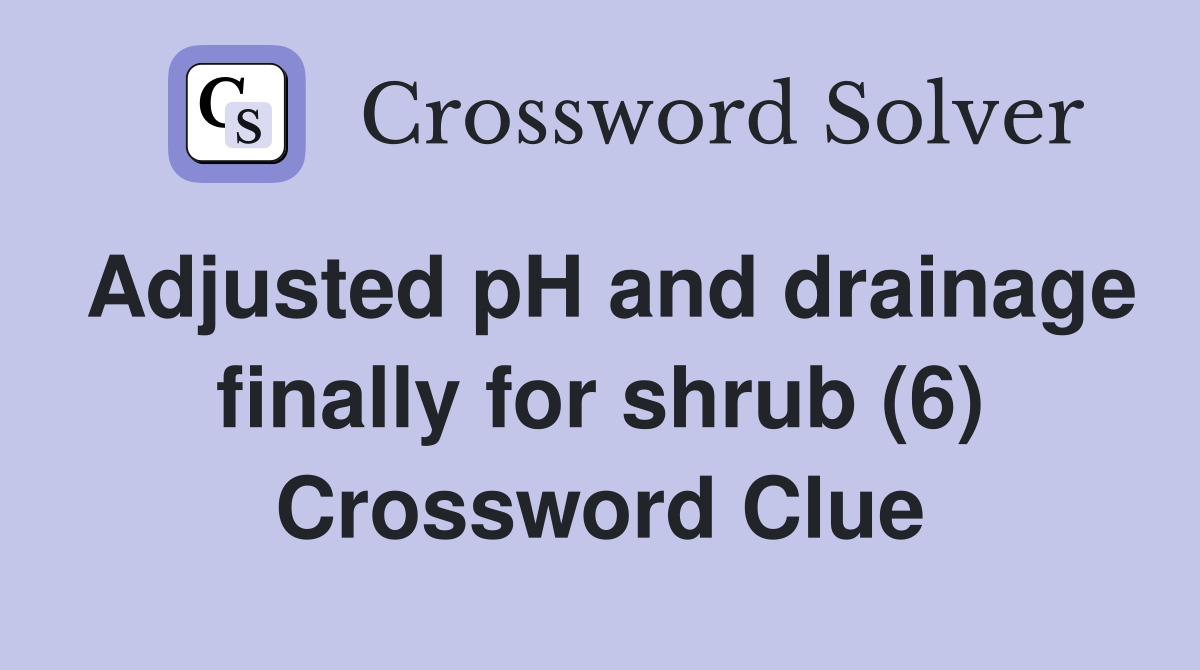 Adjusted pH and drainage finally for shrub (6) Crossword Clue