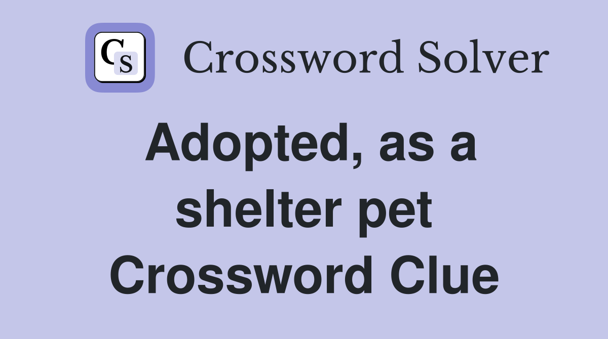 Adopted, as a shelter pet Crossword Clue