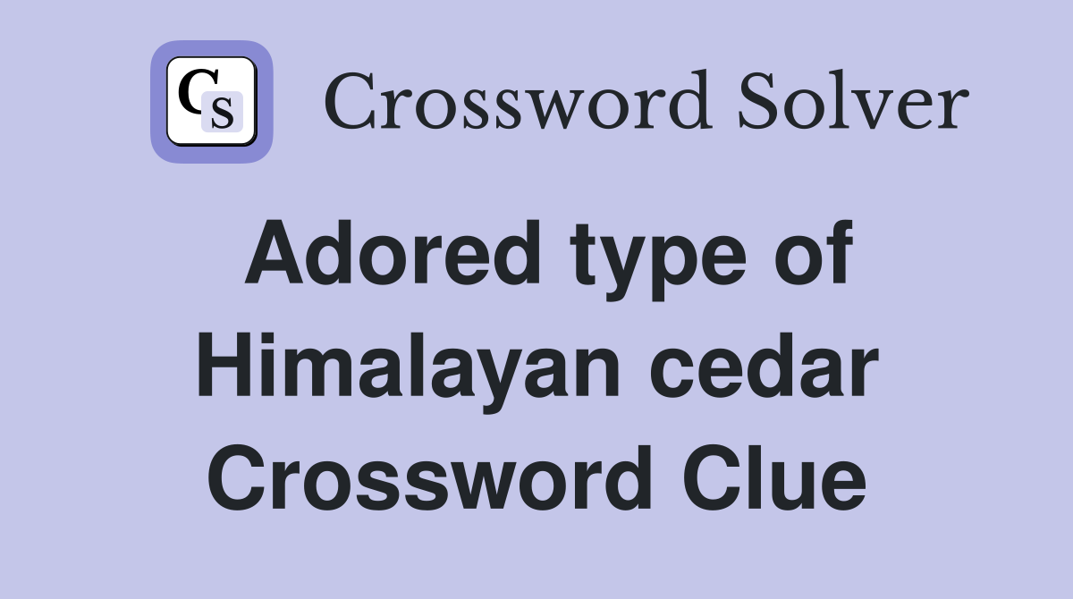 Adored type of Himalayan cedar Crossword Clue