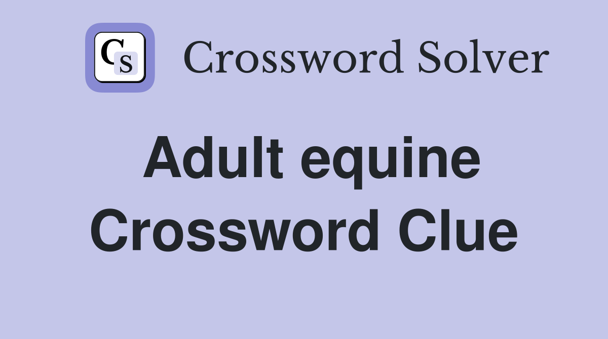 Adult equine Crossword Clue