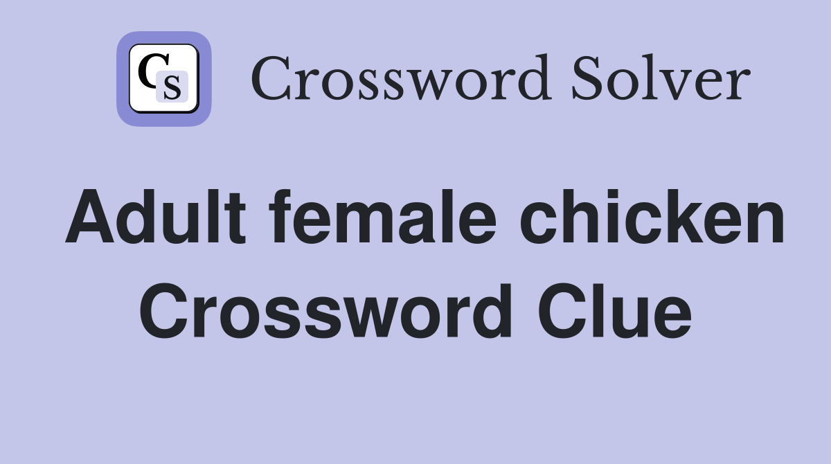 Adult female chicken Crossword Clue