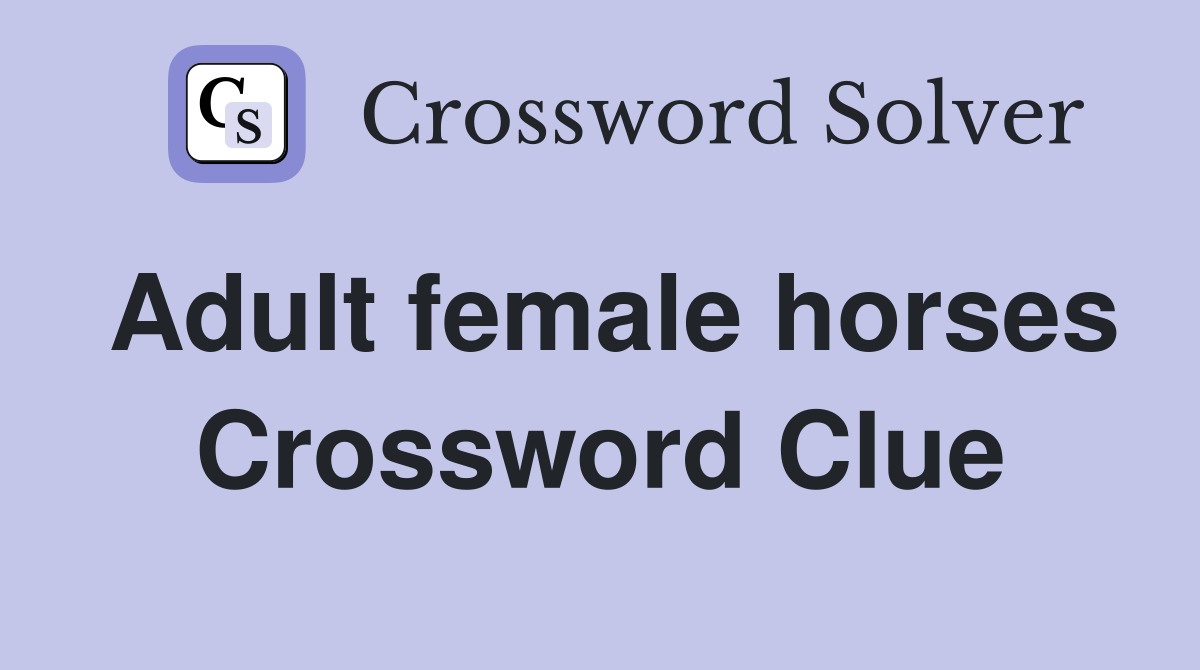 Adult female horses Crossword Clue