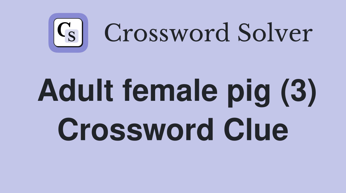 Adult female pig (3) Crossword Clue