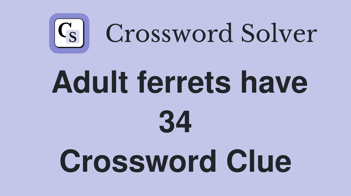 Adult ferrets have 34 Crossword Clue
