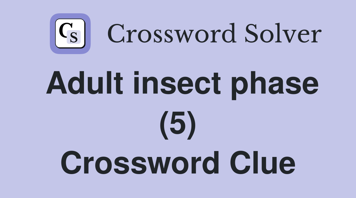 Adult insect phase (5) Crossword Clue