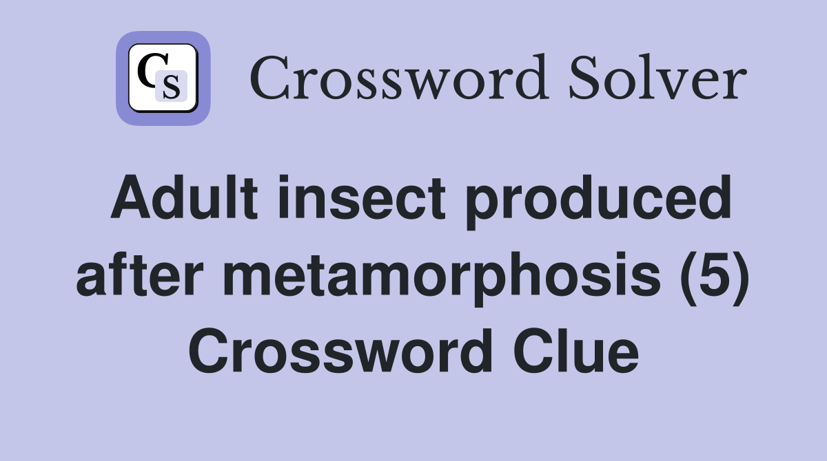 Adult insect produced after metamorphosis (5) Crossword Clue