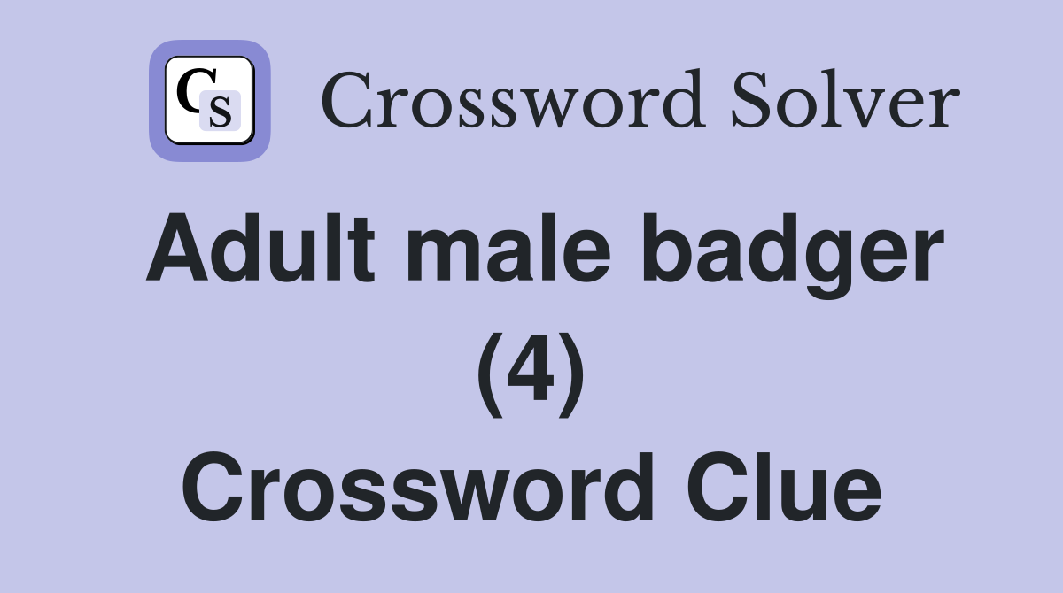 Adult male badger (4) Crossword Clue