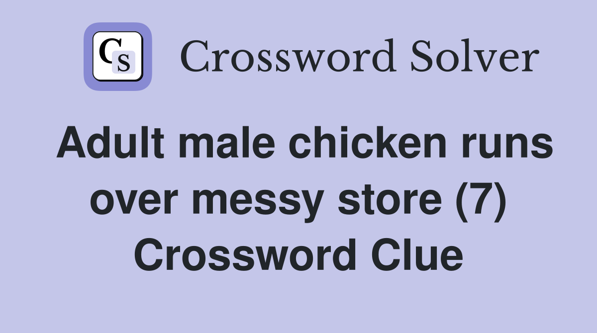 Adult male chicken runs over messy store (7) Crossword Clue