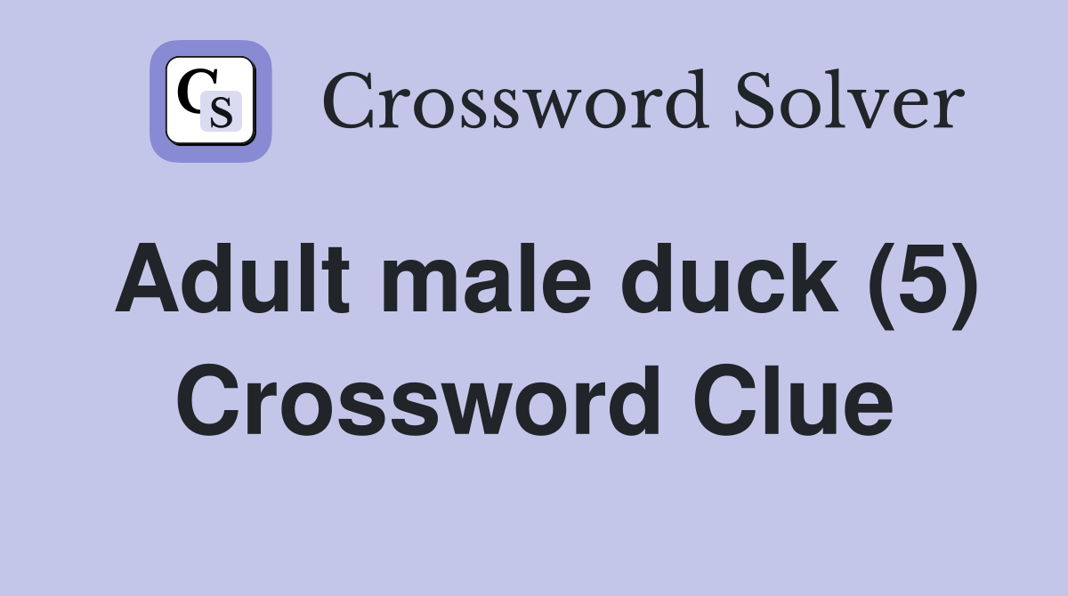 Adult male duck (5) Crossword Clue