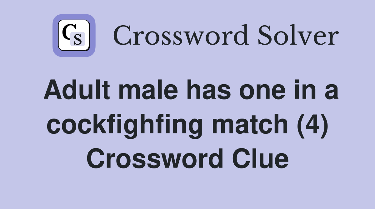 Adult male has one in a cockfighfing match (4) Crossword Clue