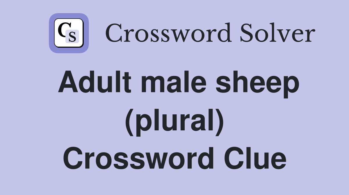 Adult male sheep (plural) Crossword Clue