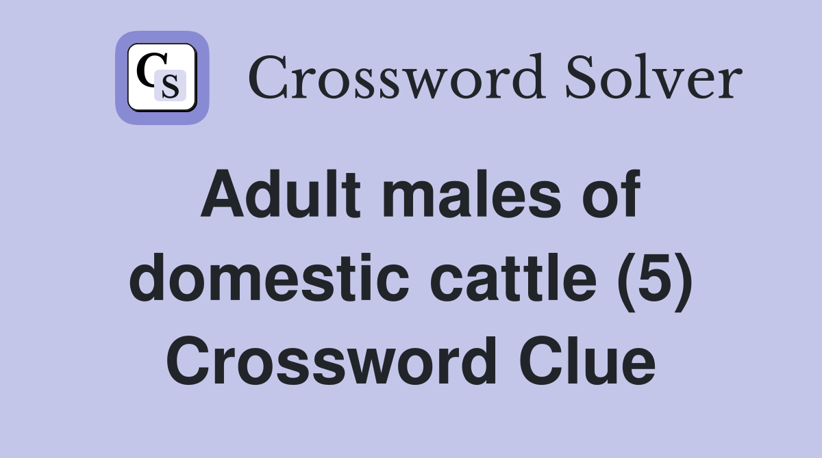 Adult males of domestic cattle (5) Crossword Clue