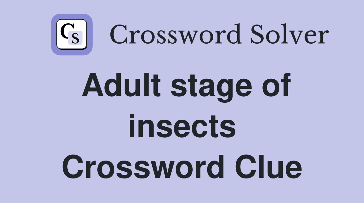 Adult stage of insects Crossword Clue