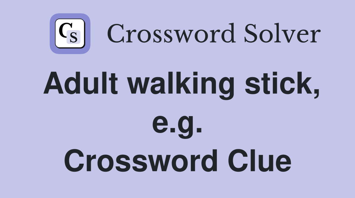 Adult walking stick, e.g. Crossword Clue
