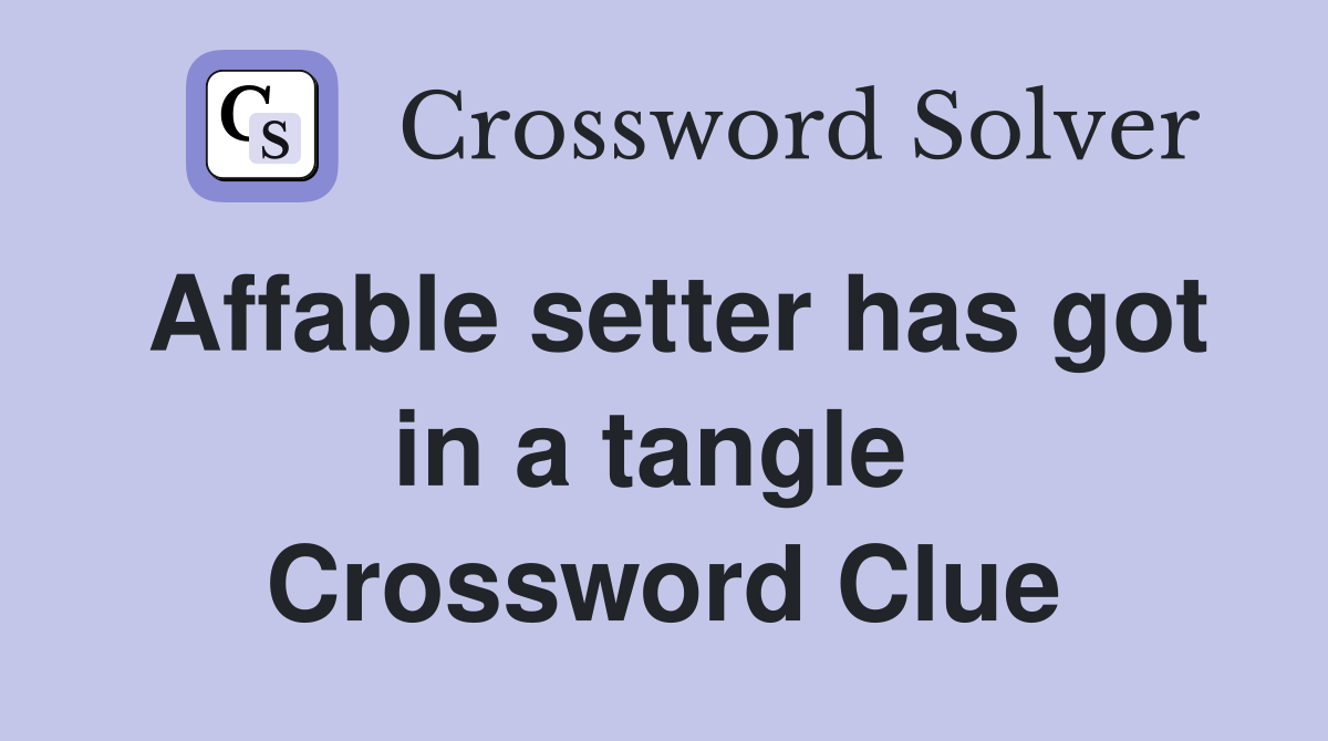 Affable setter has got in a tangle  Crossword Clue
