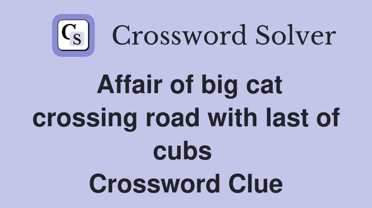 Affair of big cat crossing road with last of cubs  Crossword Clue