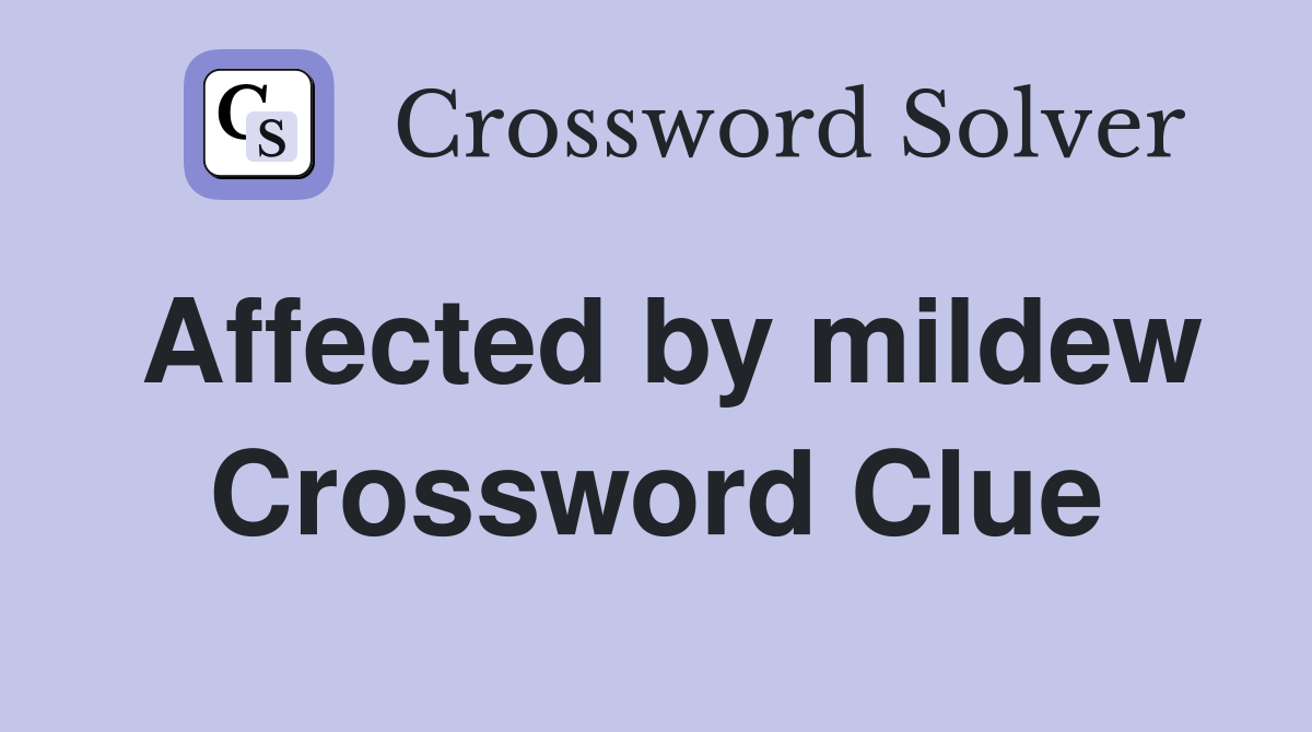 Affected by mildew Crossword Clue