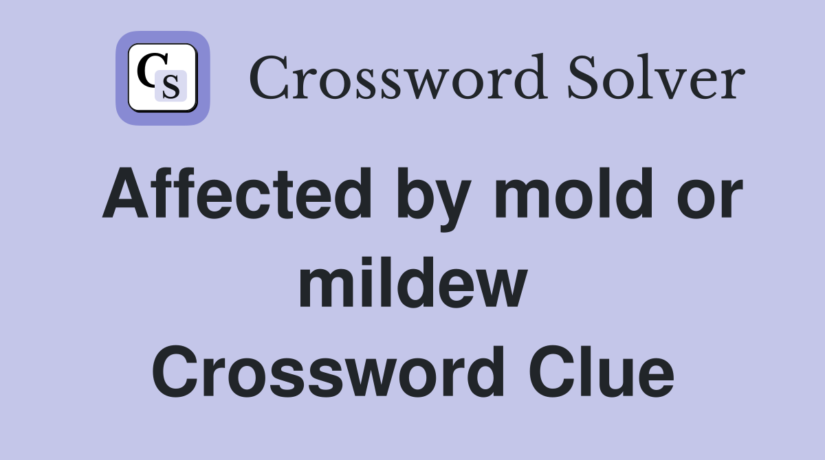 Affected by mold or mildew Crossword Clue