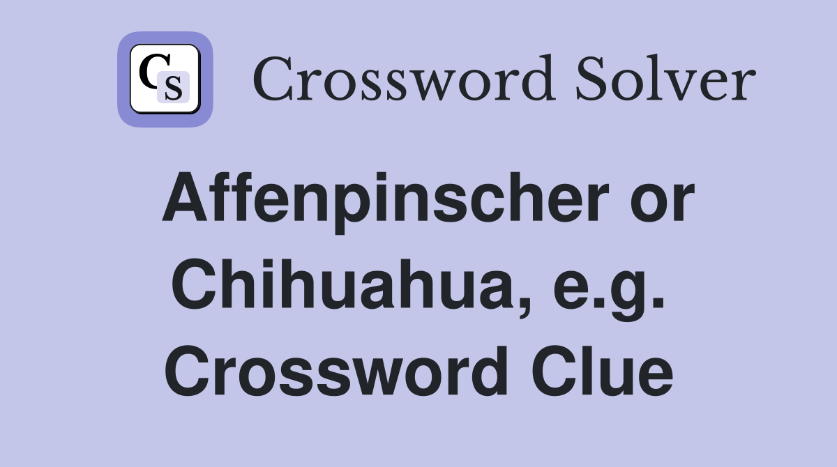 Affenpinscher or Chihuahua, e.g. Crossword Clue