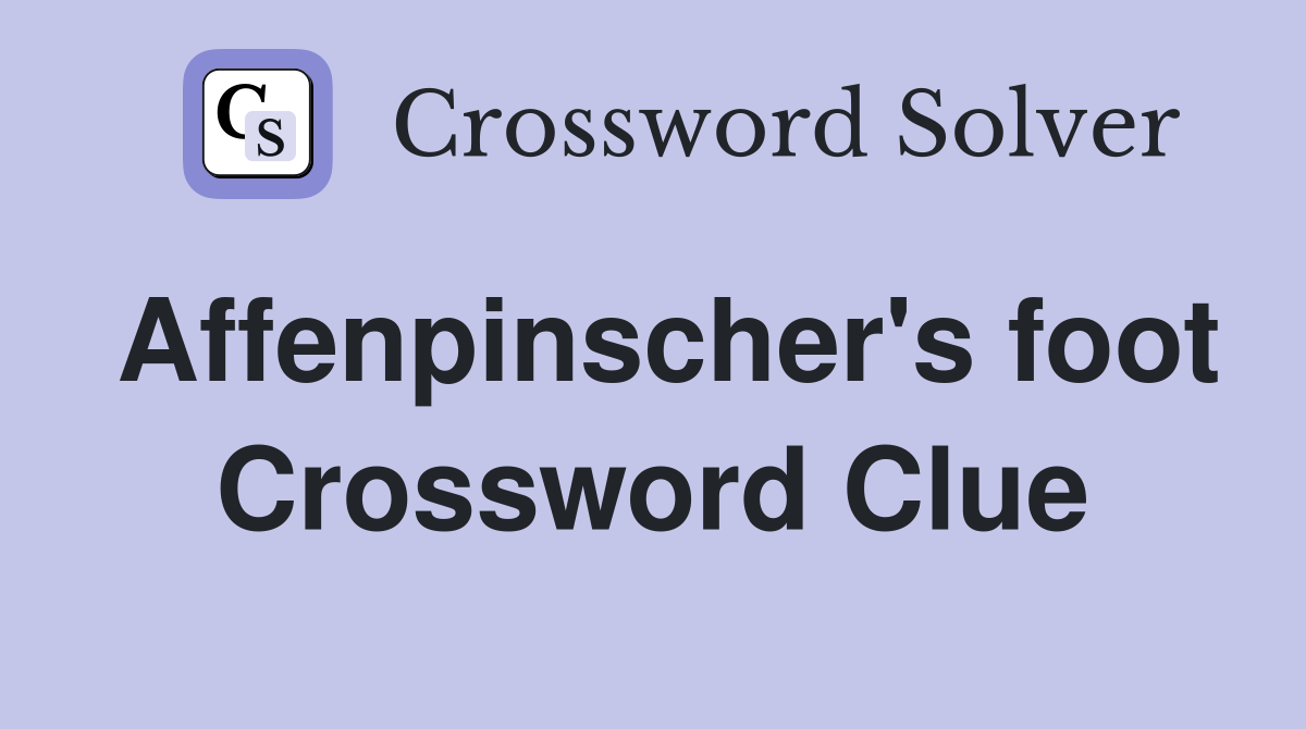 Affenpinscher's foot Crossword Clue