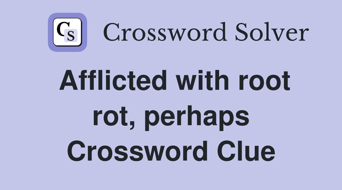 Afflicted with root rot, perhaps Crossword Clue
