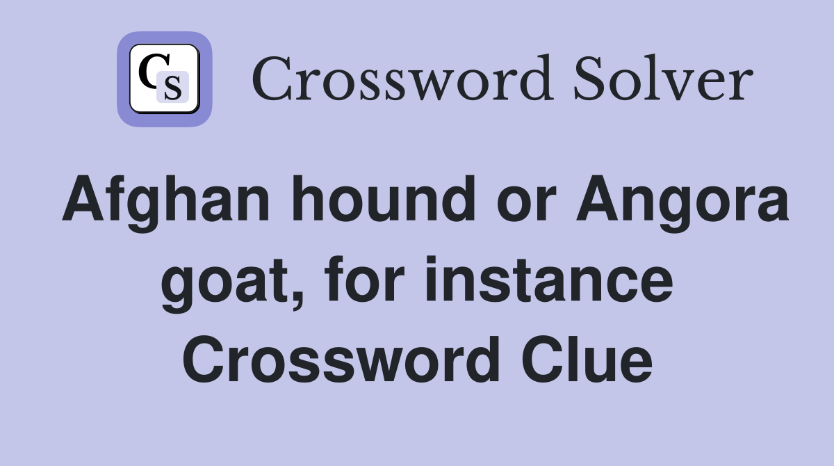 Afghan hound or Angora goat, for instance Crossword Clue