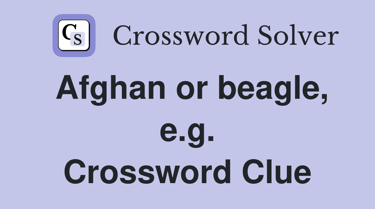 Afghan or beagle, e.g. Crossword Clue