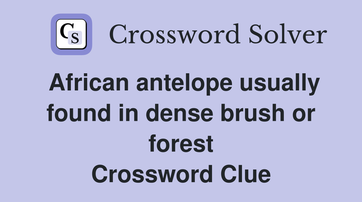 African antelope usually found in dense brush or forest Crossword Clue