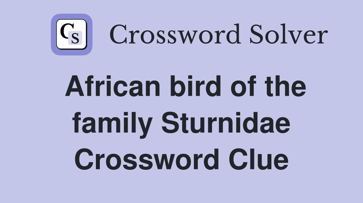 African bird of the family Sturnidae Crossword Clue