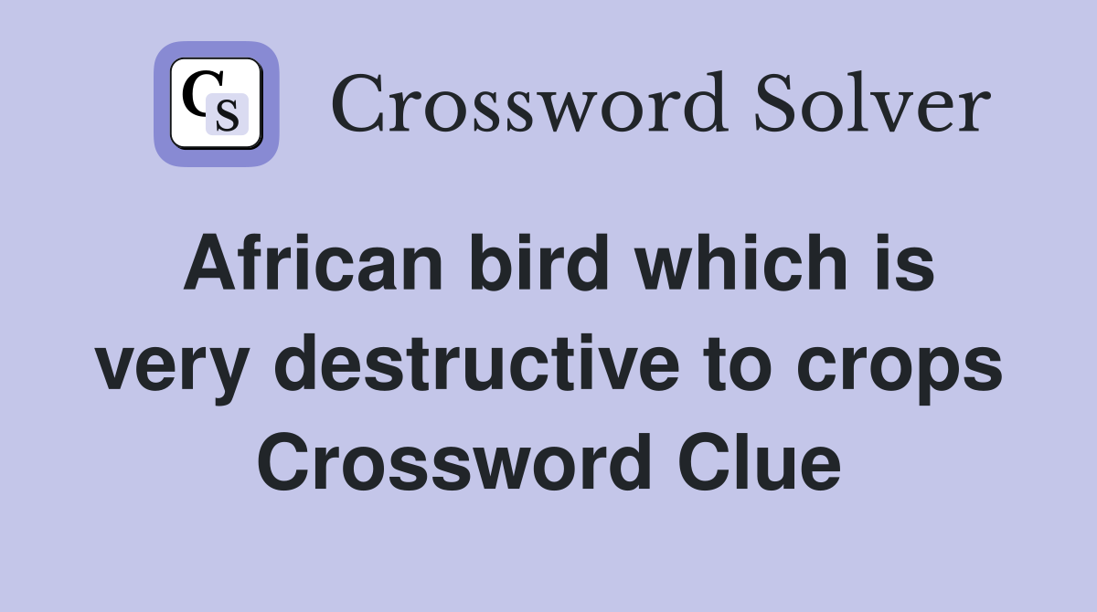African bird which is very destructive to crops Crossword Clue