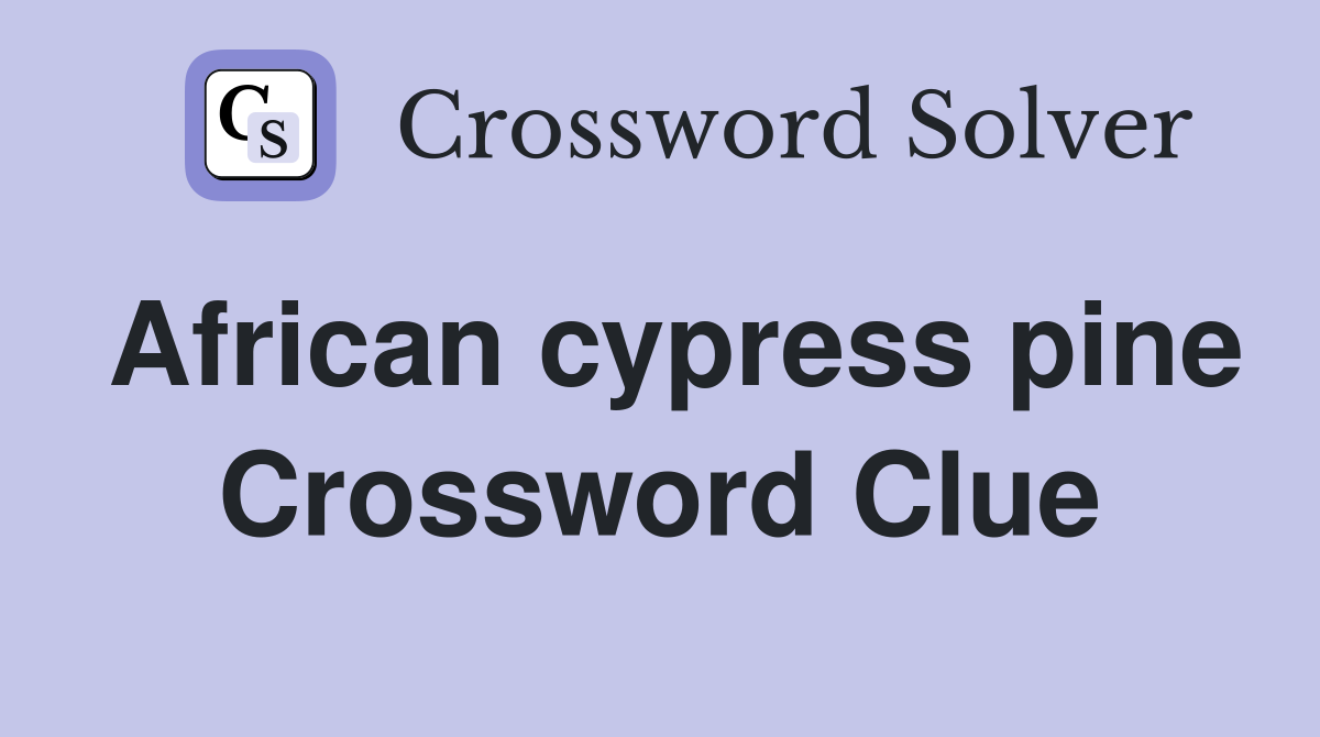African cypress pine Crossword Clue