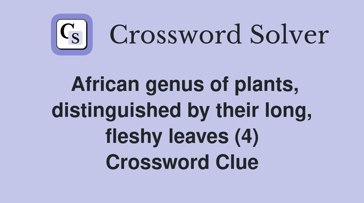 African genus of plants, distinguished by their long, fleshy leaves (4) Crossword Clue