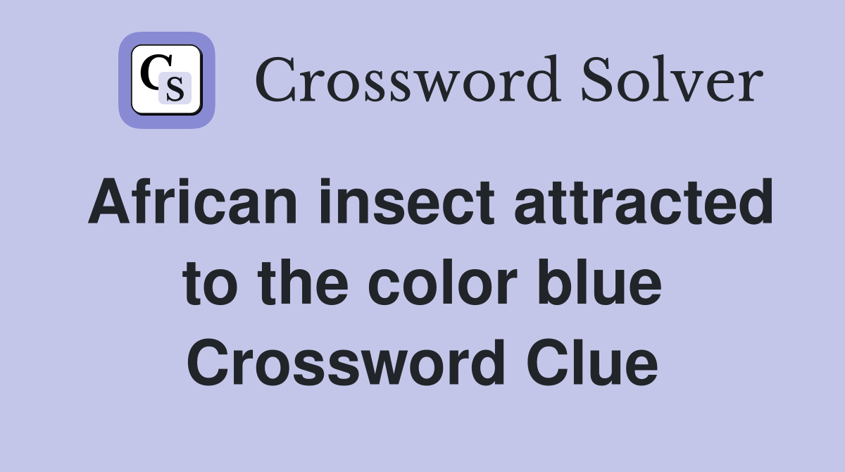 African insect attracted to the color blue Crossword Clue