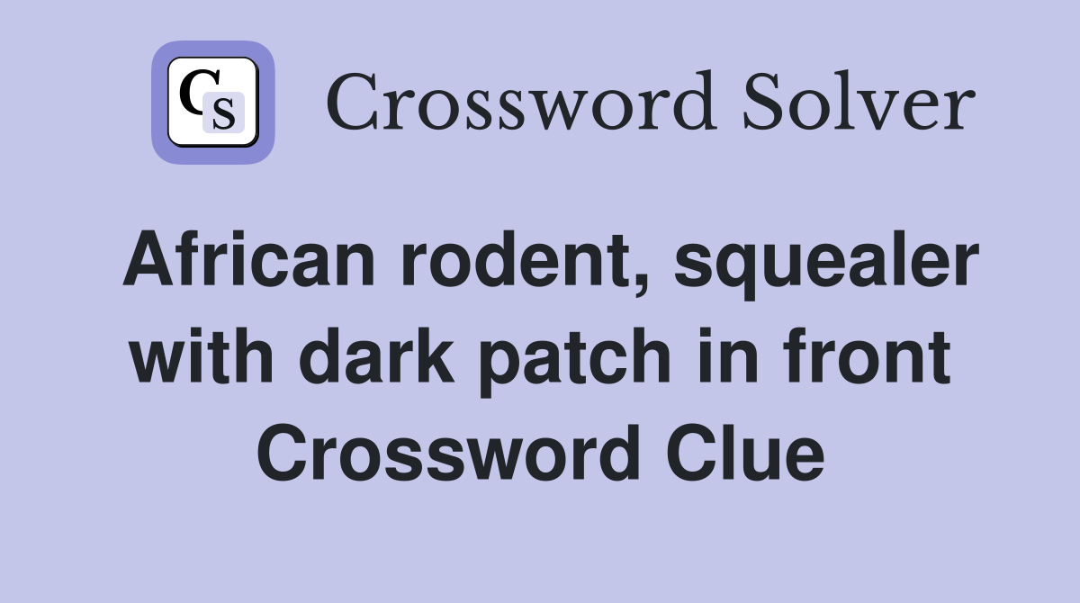 African rodent, squealer with dark patch in front Crossword Clue