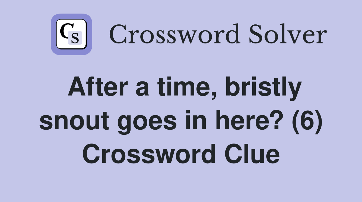 After a time, bristly snout goes in here? (6) Crossword Clue