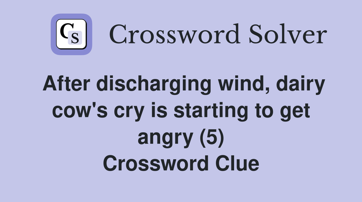 After discharging wind, dairy cow's cry is starting to get angry (5) Crossword Clue